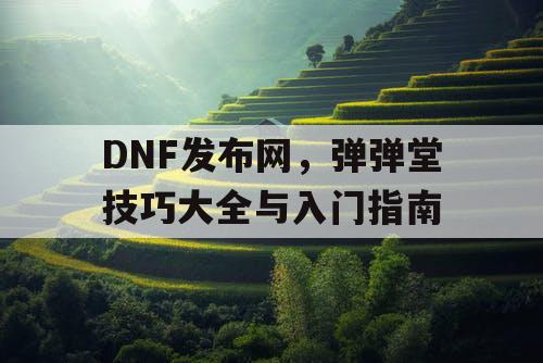 DNF发布网，弹弹堂技巧大全与入门指南