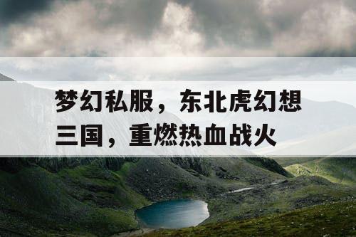 梦幻私服，东北虎幻想三国，重燃热血战火