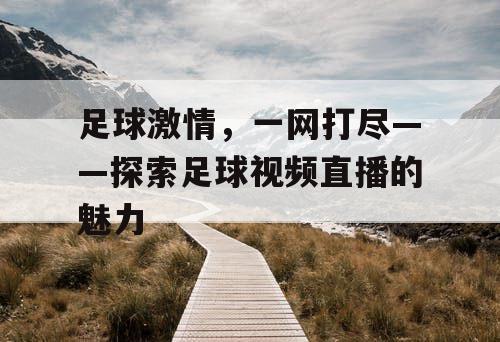足球激情，一网打尽——探索足球视频直播的魅力