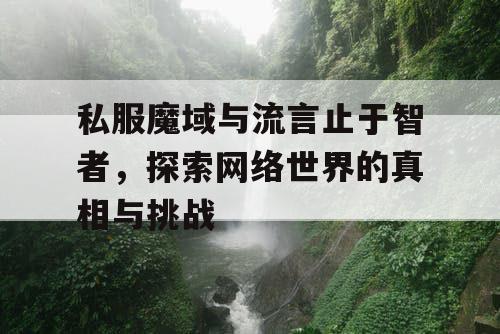 私服魔域与流言止于智者，探索网络世界的真相与挑战