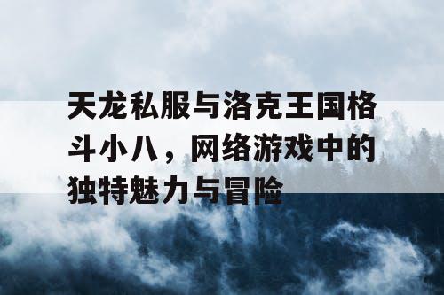 天龙私服与洛克王国格斗小八，网络游戏中的独特魅力与冒险