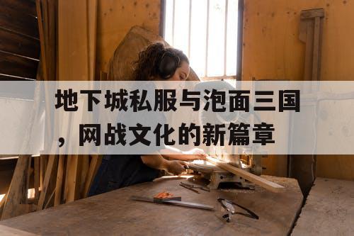地下城私服与泡面三国，网战文化的新篇章