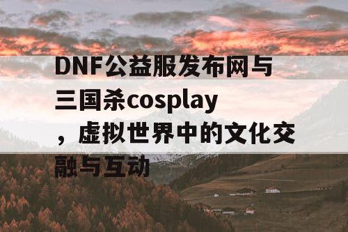 DNF公益服发布网与三国杀cosplay，虚拟世界中的文化交融与互动