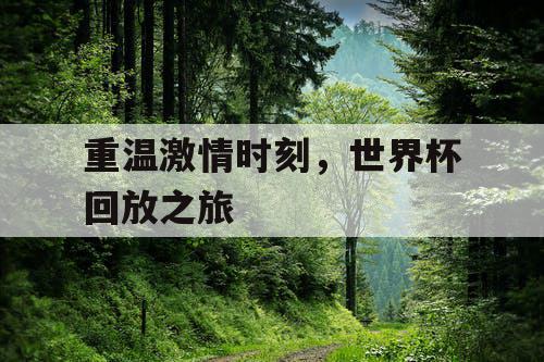 重温激情时刻，世界杯回放之旅