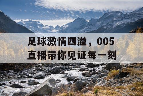 足球激情四溢，005直播带你见证每一刻