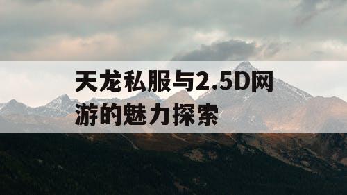 天龙私服与2.5D网游的魅力探索