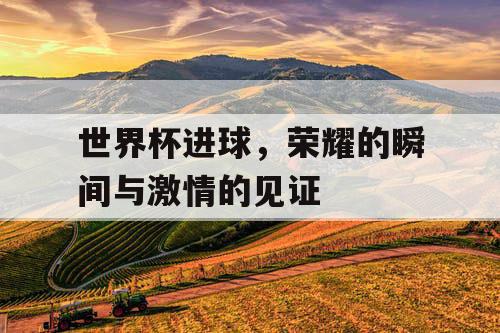 世界杯进球，荣耀的瞬间与激情的见证