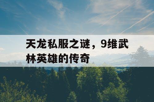 天龙私服之谜，9维武林英雄的传奇