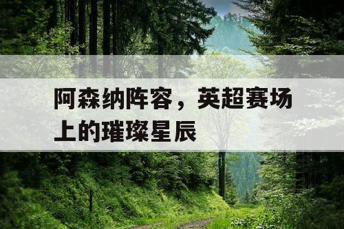 阿森纳阵容，英超赛场上的璀璨星辰
