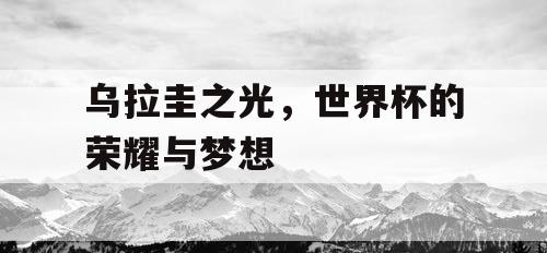 乌拉圭之光，世界杯的荣耀与梦想