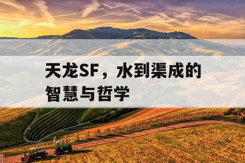 天龙SF，水到渠成的智慧与哲学