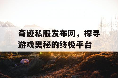 奇迹私服发布网，探寻游戏奥秘的终极平台