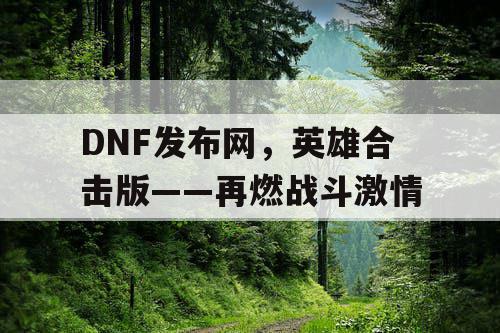 DNF发布网，英雄合击版——再燃战斗激情