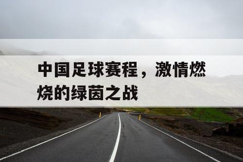 中国足球赛程，激情燃烧的绿茵之战