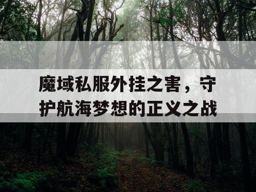 魔域私服外挂之害，守护航海梦想的正义之战