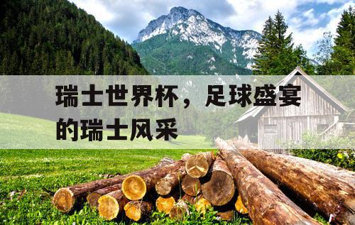 瑞士世界杯，足球盛宴的瑞士风采