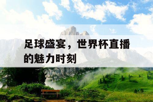 足球盛宴，世界杯直播的魅力时刻