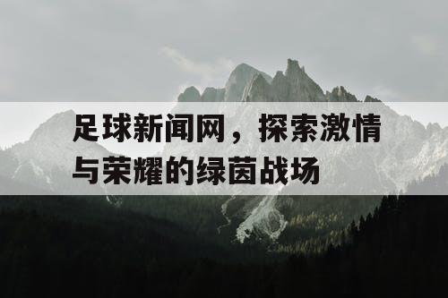 足球新闻网,探索激情与荣耀的绿茵战场 足球新闻网,探索激情与荣耀的绿茵战场