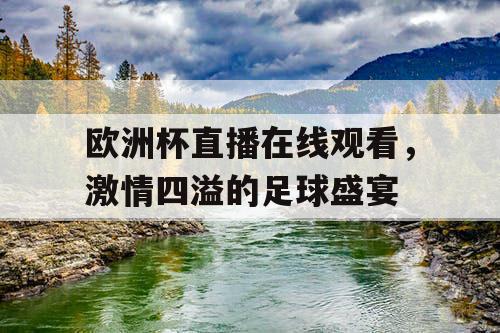 欧洲杯直播在线观看，激情四溢的足球盛宴