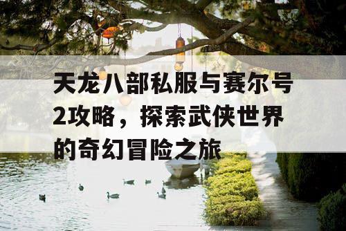 天龙八部私服与赛尔号2攻略，探索武侠世界的奇幻冒险之旅