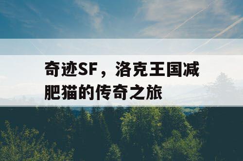奇迹SF,洛克王国减肥猫的传奇之旅 奇迹SF,洛克王国减肥猫的传奇之旅