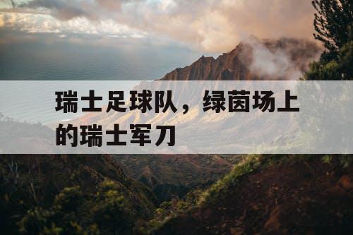 瑞士足球队,绿茵场上的瑞士军刀 瑞士足球队,绿茵场上的瑞士军刀