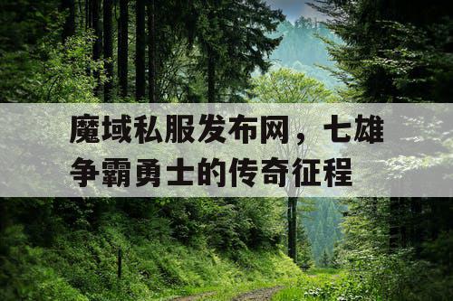 魔域私服发布网，七雄争霸勇士的传奇征程