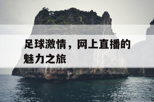 足球激情，网上直播的魅力之旅