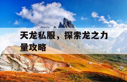 天龙私服,探索龙之力量攻略 天龙私服,探索龙之力量攻略