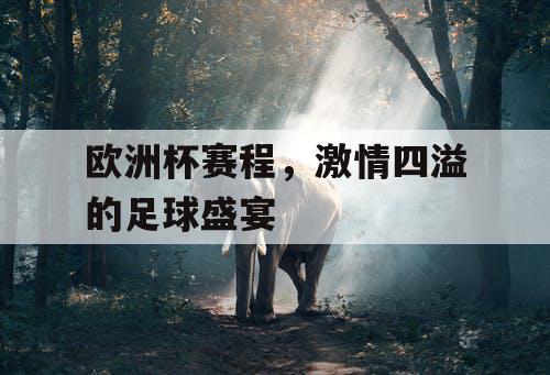 欧洲杯赛程,激情四溢的足球盛宴 欧洲杯赛程,激情四溢的足球盛宴