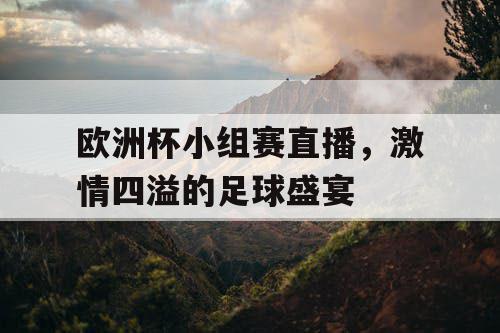 欧洲杯小组赛直播，激情四溢的足球盛宴