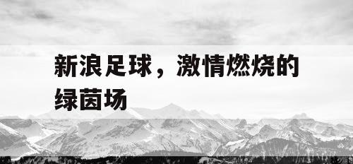 新浪足球，激情燃烧的绿茵场