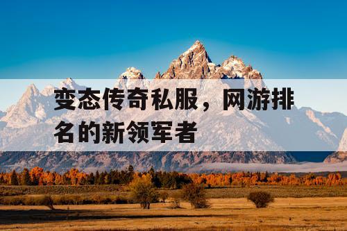 变态传奇私服，网游排名的新领军者