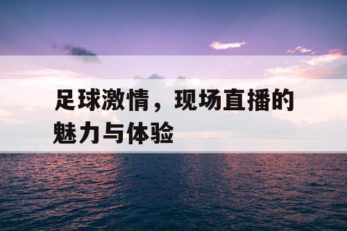 足球激情，现场直播的魅力与体验
