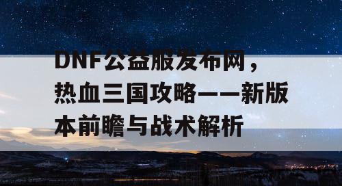 DNF公益服发布网，热血三国攻略——新版本前瞻与战术解析