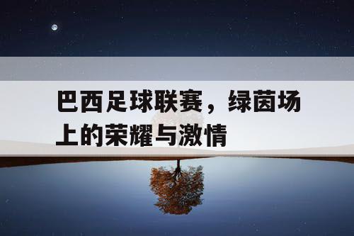 巴西足球联赛，绿茵场上的荣耀与激情
