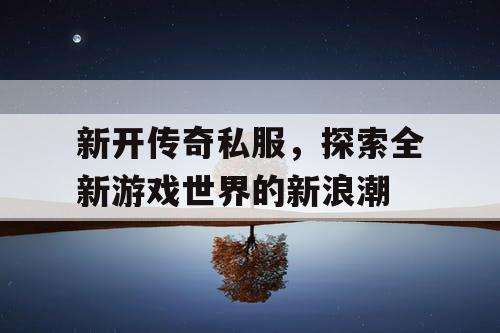 新开传奇私服，探索全新游戏世界的新浪潮