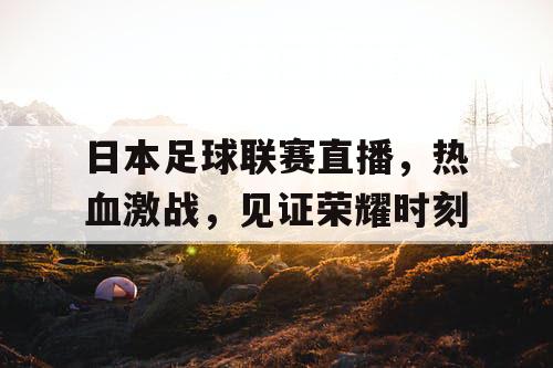 日本足球联赛直播，热血激战，见证荣耀时刻