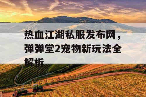 热血江湖私服发布网，弹弹堂2宠物新玩法全解析