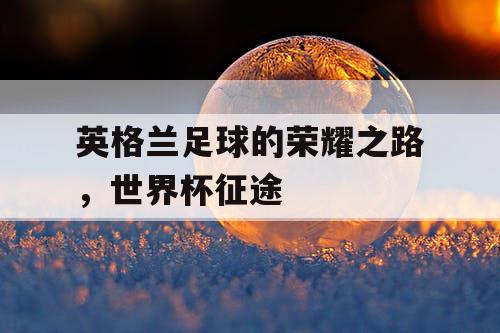 英格兰足球的荣耀之路，世界杯征途