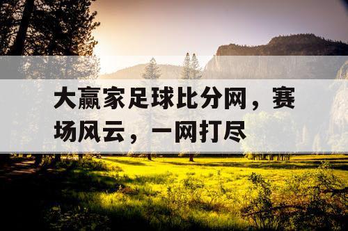 大赢家足球比分网，赛场风云，一网打尽