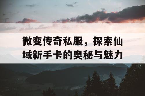 微变传奇私服，探索仙域新手卡的奥秘与魅力