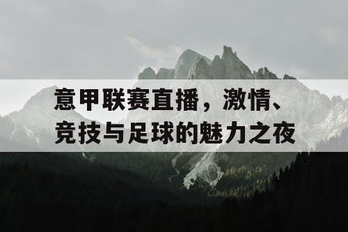 意甲联赛直播,激情、竞技与足球的魅力之夜 意甲联赛直播,激情、竞技与足球的魅力之夜