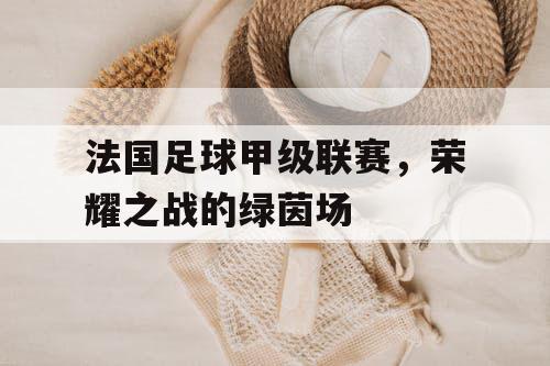 法国足球甲级联赛，荣耀之战的绿茵场