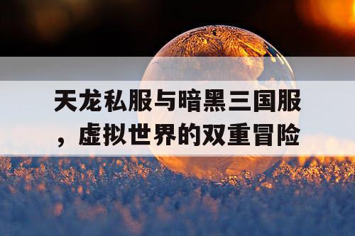 天龙私服与暗黑三国服，虚拟世界的双重冒险