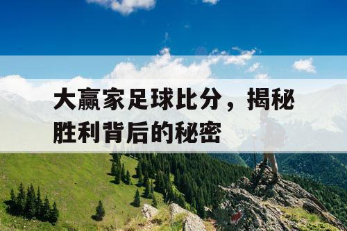 大赢家足球比分，揭秘胜利背后的秘密