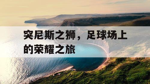 突尼斯之狮，足球场上的荣耀之旅