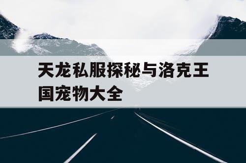 天龙私服探秘与洛克王国宠物大全