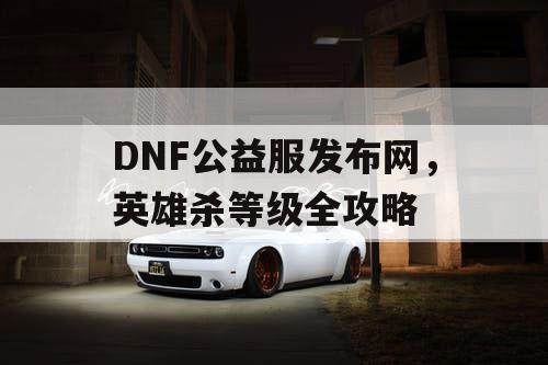 DNF公益服发布网，英雄杀等级全攻略