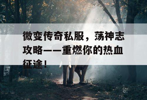 微变传奇私服,荡神志攻略——重燃你的热血征途! 微变传奇私服,荡神志攻略——重燃你的热血征途!